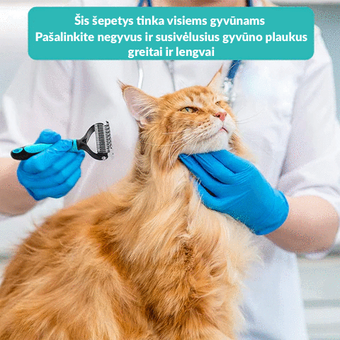 Universalus šepetys gyvūnams (tinka visiems gyvūnams)