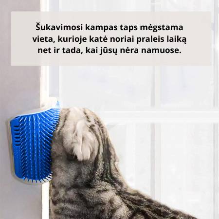 Masažinės kačių šukos su katžole