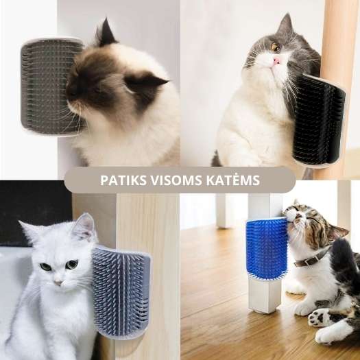 Masažinės kačių šukos su katžole