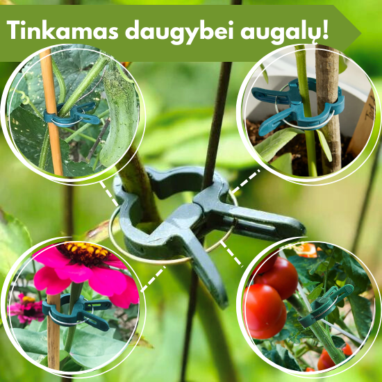 Daugkartinio naudojimo augalų atraminiai segtukai (pakuotėje yra 108 vienetų)