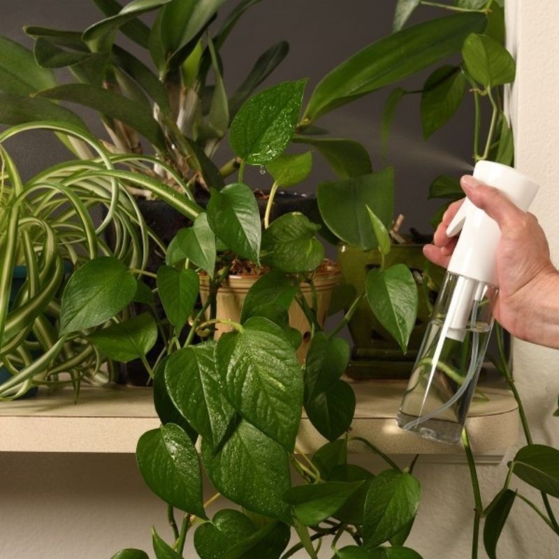 Universalus Virtuvės Purkštuvas