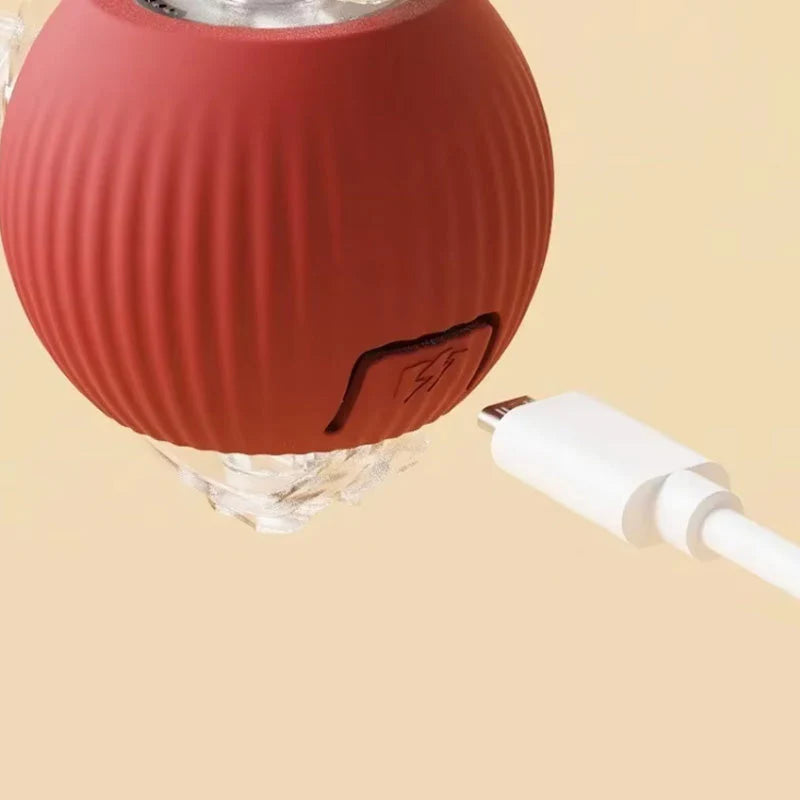 Interaktyvus kačių žaislas, reaguojantis į prisilietimą – linksmos akimirkos be nuobodulio