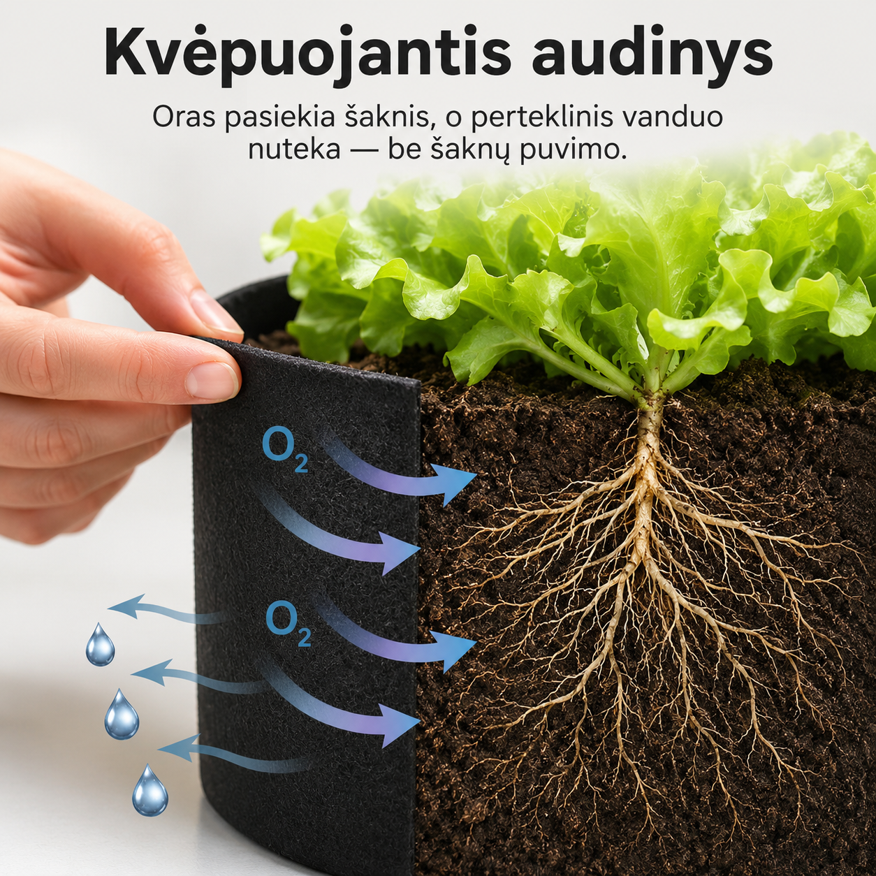 Daržovių ir žolelių auginimo lysvė (sulankstoma, tinka balkonui ir terasai) – nuotrauka 7