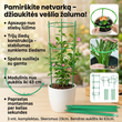 Triguba reguliuojama augalų atrama – tiesus augimas ir nepriekaištinga sodo tvarka