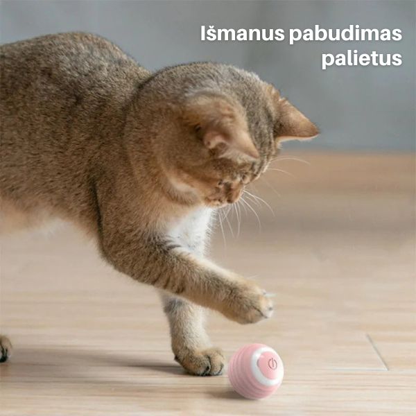 Interaktyvus savaime judantis kamuoliukas naminiams gyvūnėliams