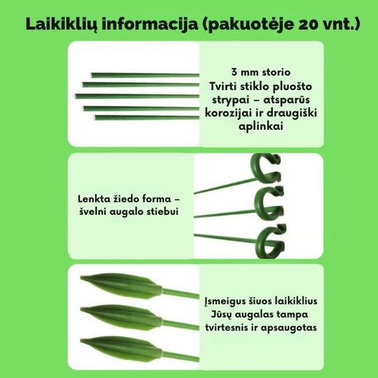 Augalų atraminiai laikikliai (20 vnt.) – stabilus augalų augimas be lūžinėjimų ir nulinkimų