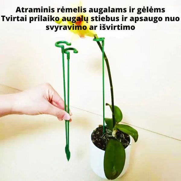 Augalų atraminiai laikikliai (20 vnt.) – stabilus augalų augimas be lūžinėjimų ir nulinkimų
