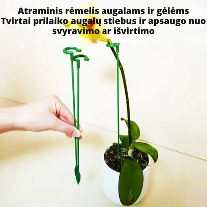 Augalų atraminiai laikikliai (20 vnt.) – stabilus augalų augimas be lūžinėjimų ir nulinkimų
