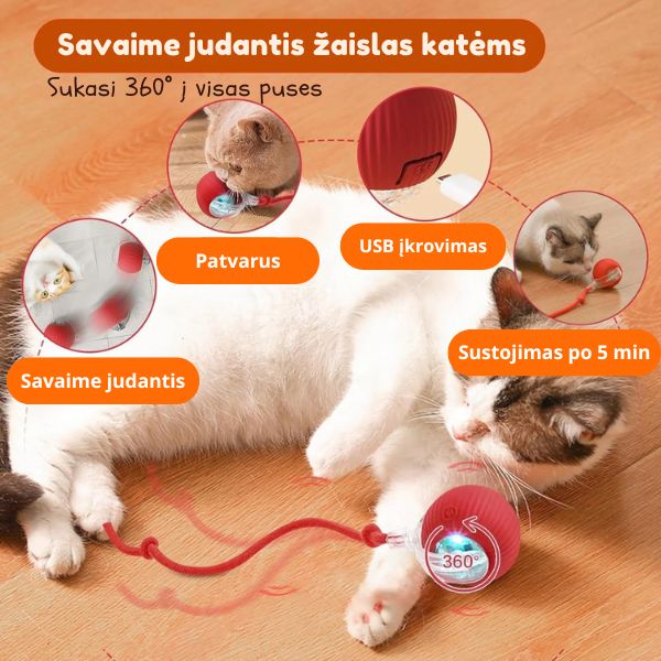 Interaktyvus kačių žaislas, reaguojantis į prisilietimą – linksmos akimirkos be nuobodulio