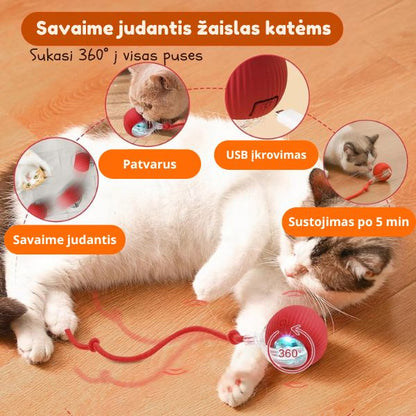 Interaktyvus kačių žaislas, reaguojantis į prisilietimą – linksmos akimirkos be nuobodulio