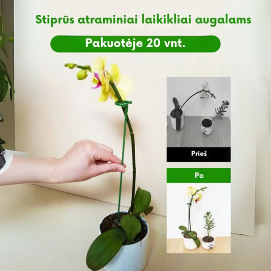 Augalų atraminiai laikikliai (20 vnt.) – stabilus augalų augimas be lūžinėjimų ir nulinkimų