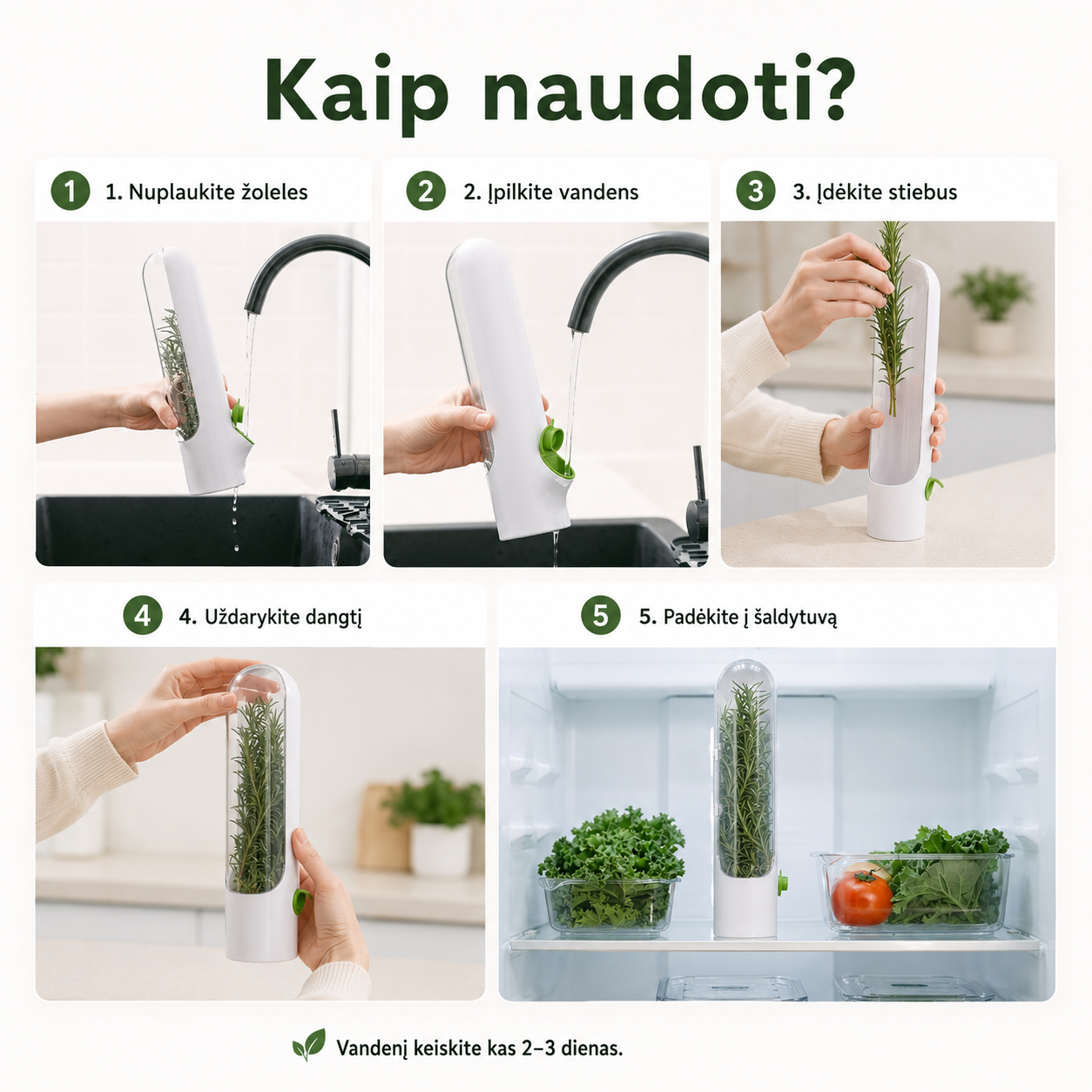 Žolelių laikymo indas šaldytuvui (padeda ilgiau išlaikyti šviežumą) – nuotrauka 10